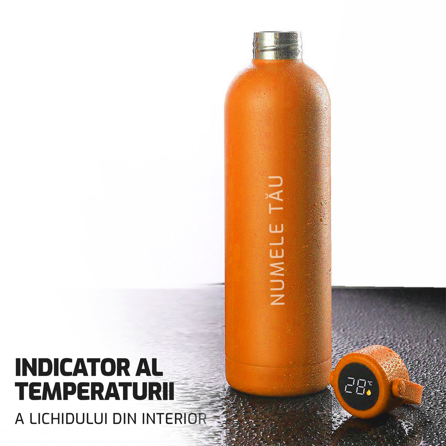 Termos cu indicator al temperaturii